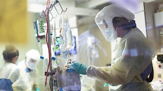 110,000 COVID Deaths Projected By December 1st