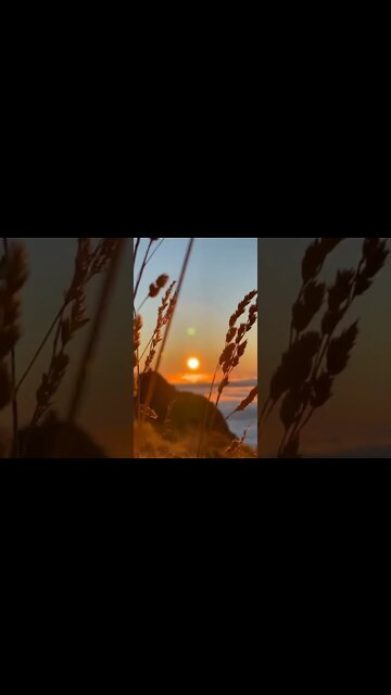 Natureza - Boas Vibrações