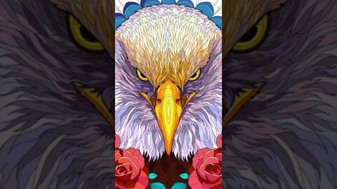 Here is an Eagle