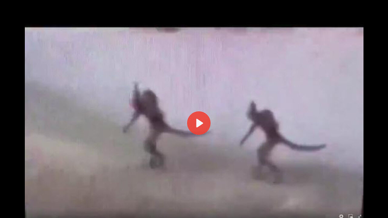 They Are Not Aliens, They Are Interdimensional Demons