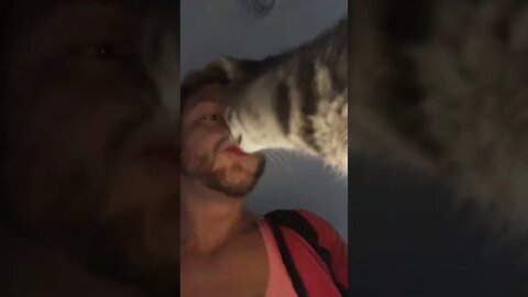 Kitties love kisses