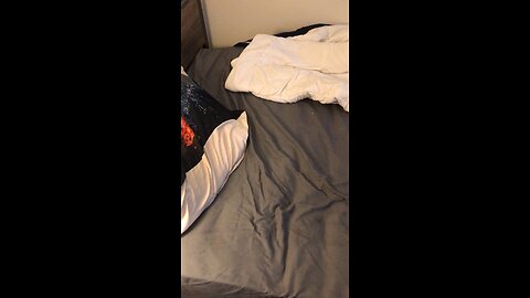 Chef Boy R Dizzy VLOG: @DabSlabCutBud ✂️ www.Twitch.tv/DabSlabCutBud 🔗 #October #10 #2023