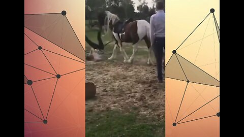 Man Fell Off a Horse