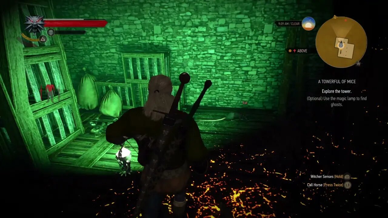 The Witcher 3: Wild Hunt Part 33-The Rat Tower