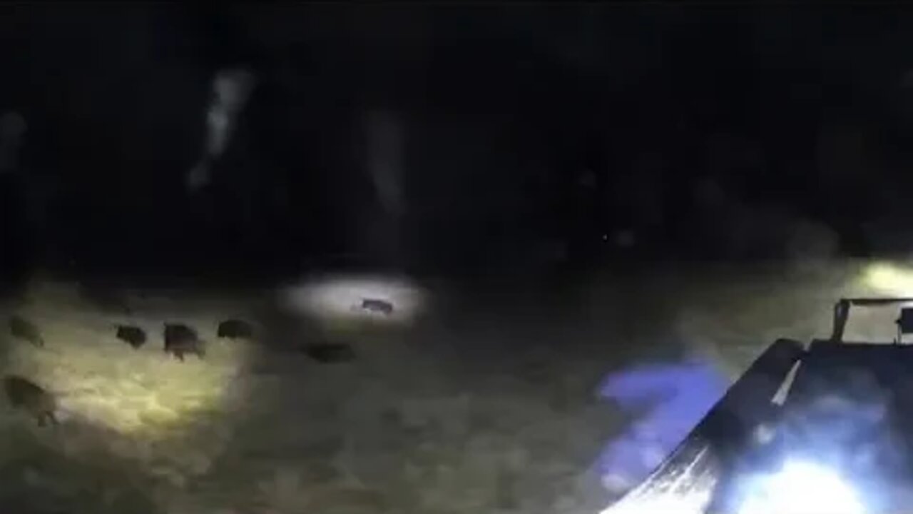 360 HOG PATROL