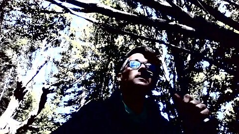 👨‍💻Escaping REDUCTIONISM'S Shallow Cage! 🗑️☠️PART 2: REHUMANIZE YERSELF🫵(Within Oneness) ❤️‍🔥