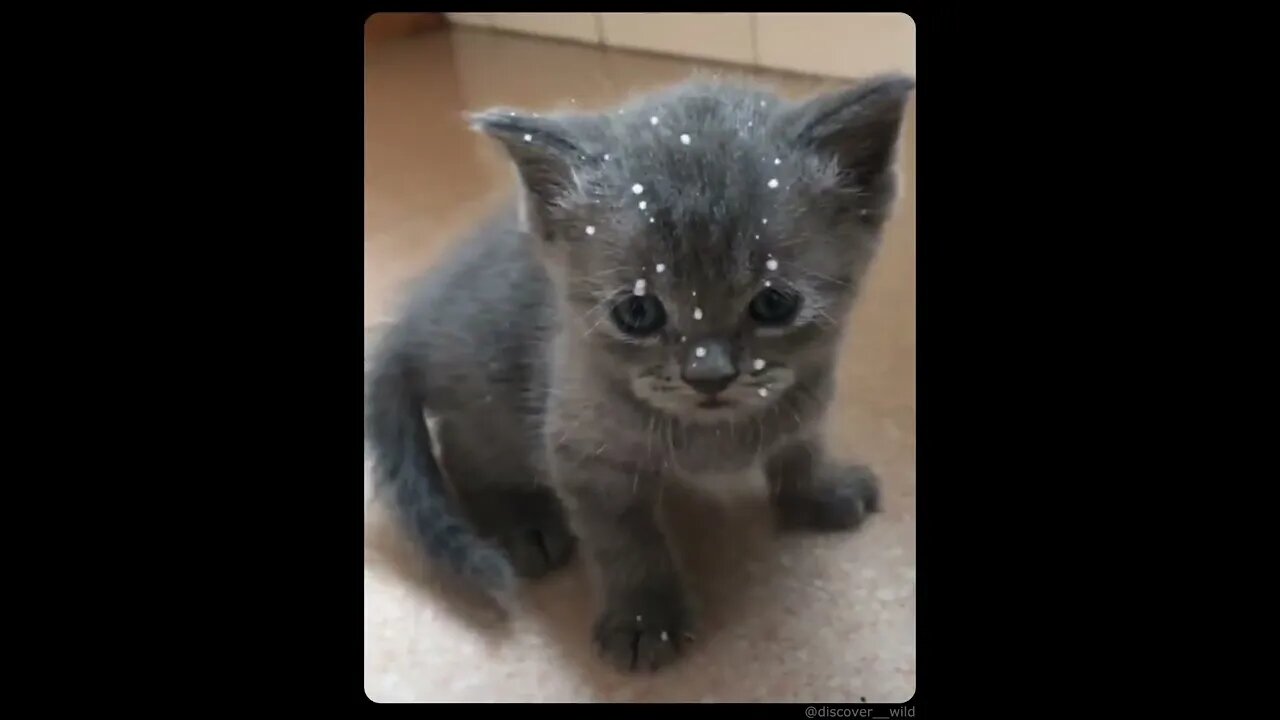 Collateral damage