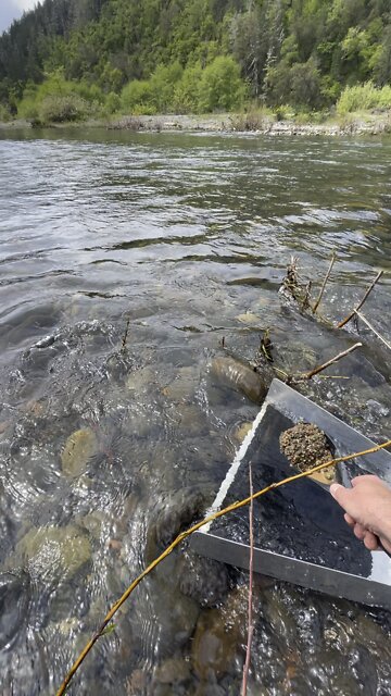 testing some dream matting