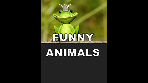 funny animals (super 3 minute funny) cats and dogs