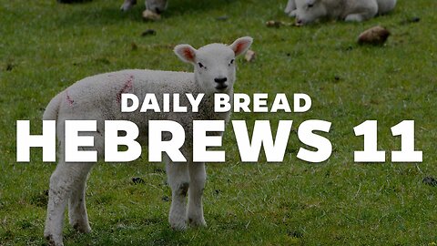 Daily Bread: Hebrews 11