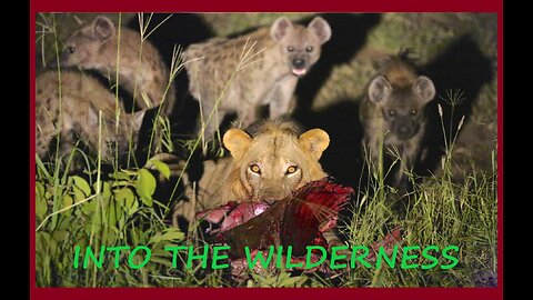 IN THE WILDERNESS #15