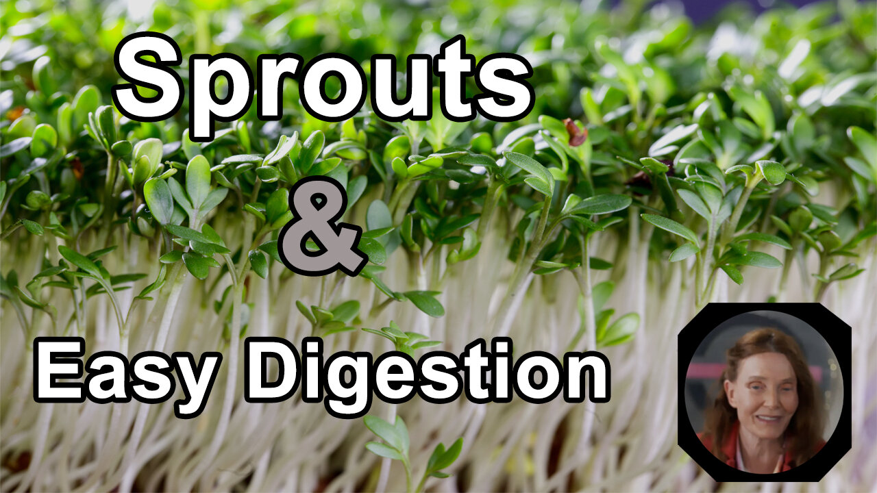 Sprouts Are The Easy Food To Digest - Anna Maria Clement, PhD - Interview