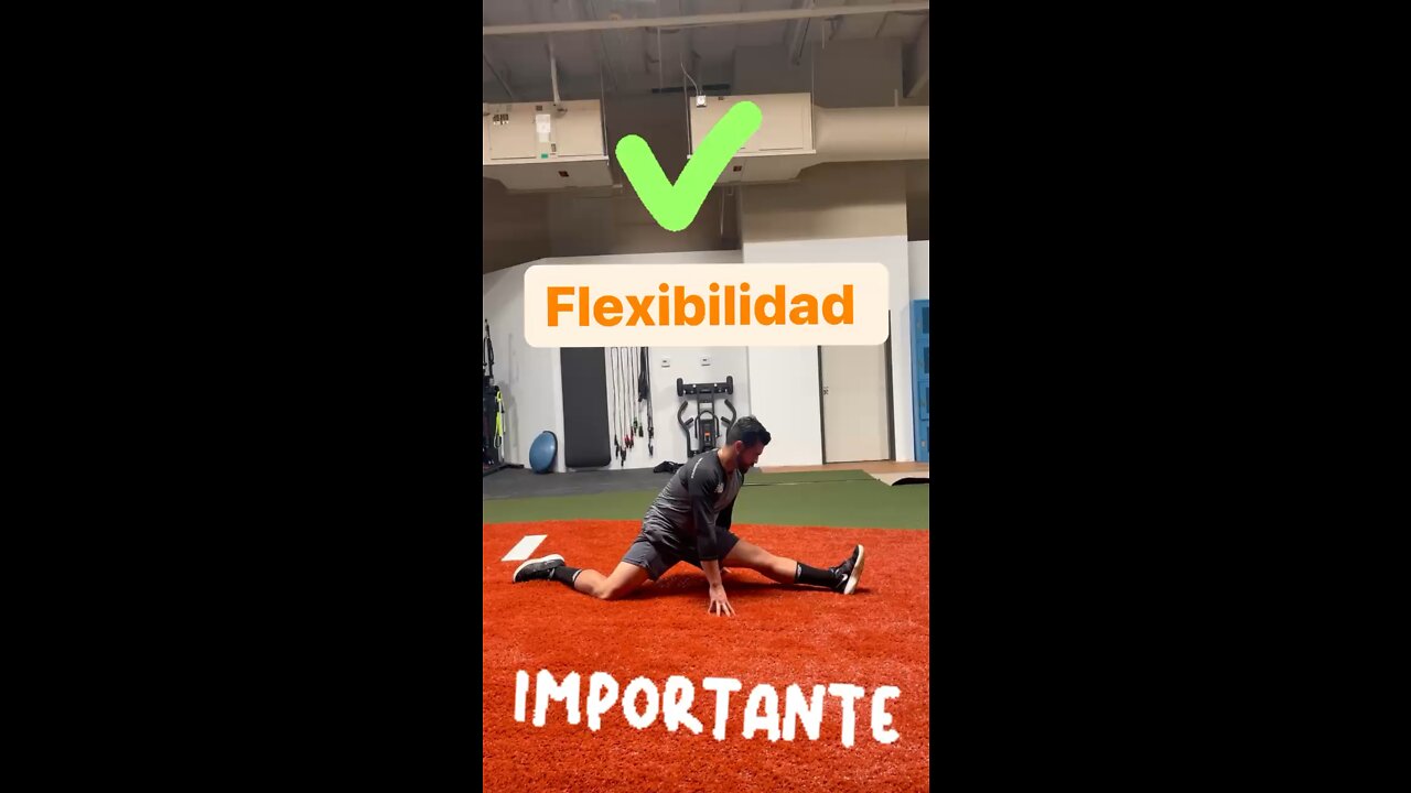 ✅ FLEXIBILIDAD ✅