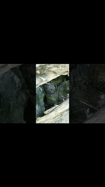 #hiking #waterfall #vancouverisland