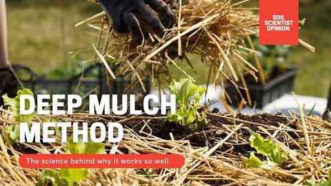 Deep Mulch Method 101. Understanding Why Deep Mulching In The Garden Works | Gardening in Canada