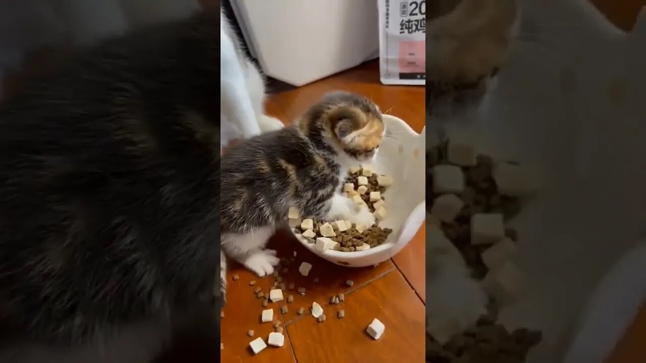 What an adorable little monster 😂