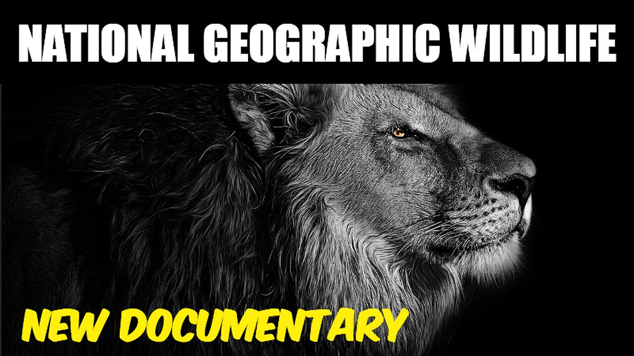 National Geographic - Wildlife - New Documentary