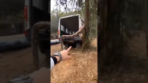 IMPACTANTE LO QUE VIVIERON ENCONTRARON ESTE MONSTRUO