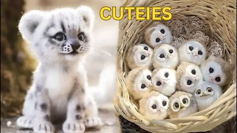 Cute baby animals Videos Compilation cute moment of the Cutest Animals 2023