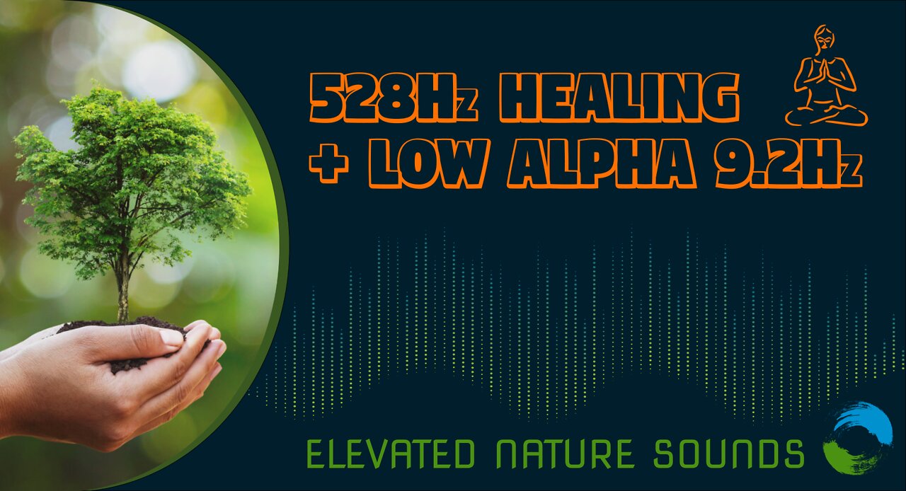 1hr 528Hz Frequency Light Rain Meditation with Heartbeat 65BPM Isochronic Brain Entrainment 9.2Hz