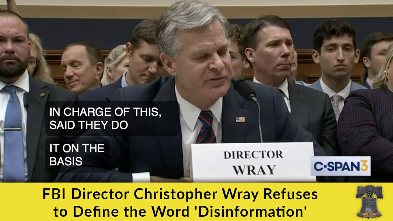 FBI Director Christopher Wray Refuses to Define the Word 'Disinformation'