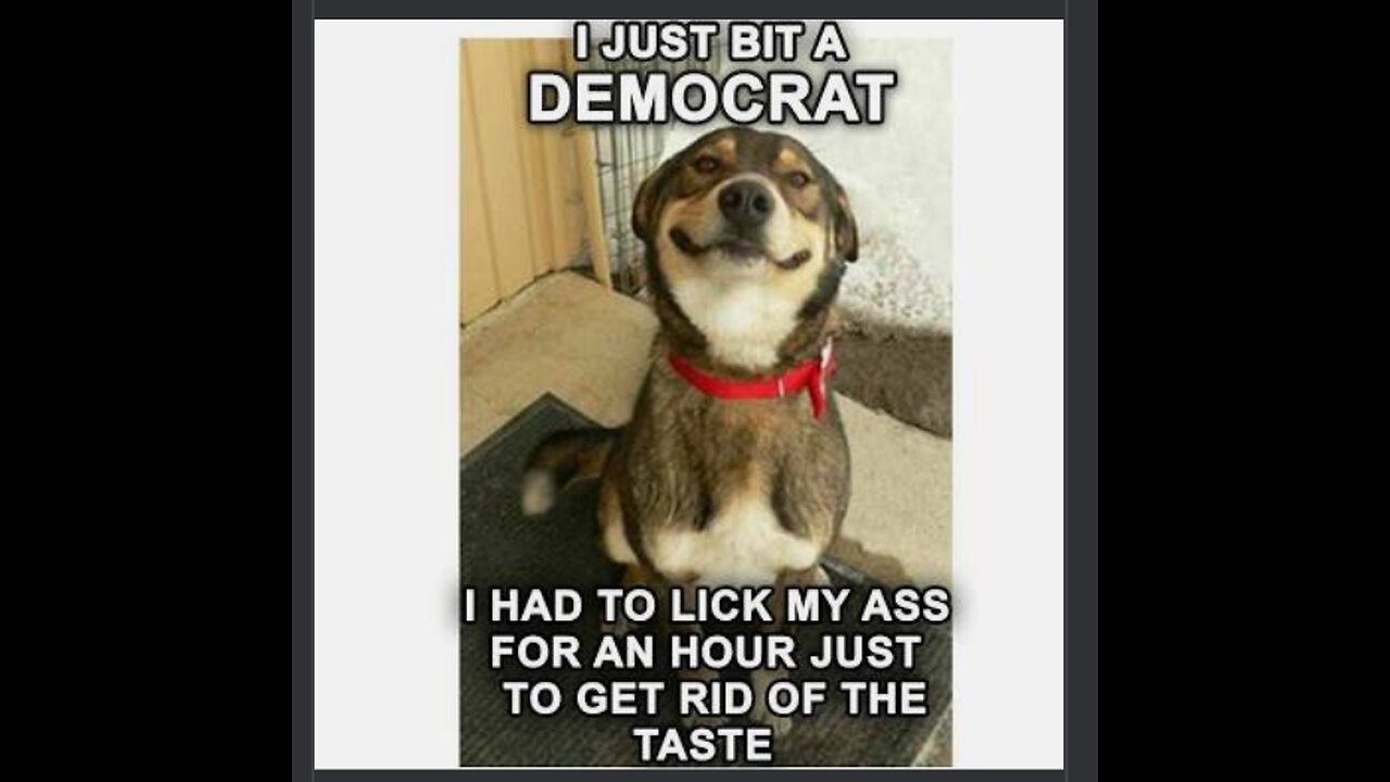 Time To Be Free Americans