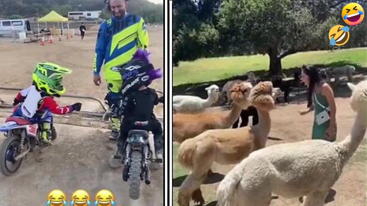 The Funniest Compilation Video2023😂: Animals😹 and Humans in Action!🤣🤣
