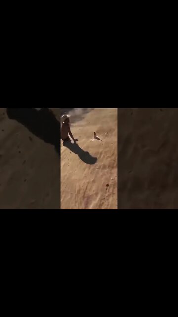 não rir é extremamente impossível kkk #shorts