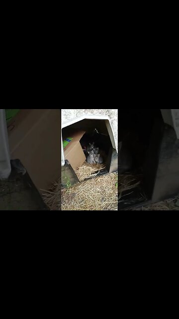 And They Were Roomates