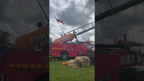 Pumpkin Cannon at Hunsader Farms 30th Annual Pumpkin Festival #shorts