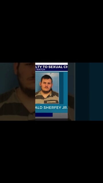 Donald Sherfey Jr Plea Deal - What was “the deal”? #summerwells 🥴#shorts #criminal #tennessee
