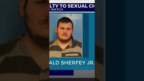 Donald Sherfey Jr Plea Deal - What was “the deal”? #summerwells 🥴#shorts #criminal #tennessee