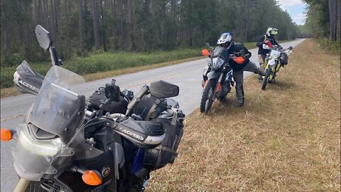 Trans FL 2021 Fall