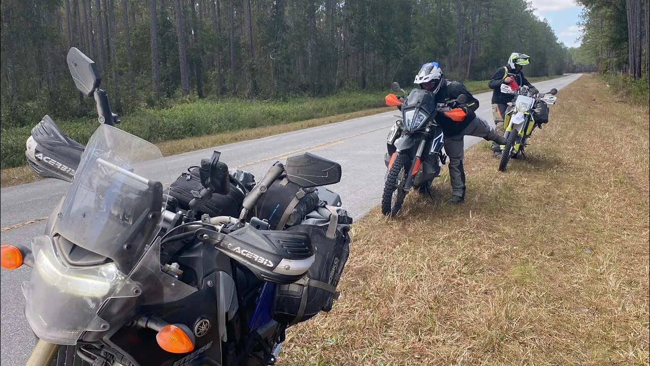 Trans FL 2021 Fall