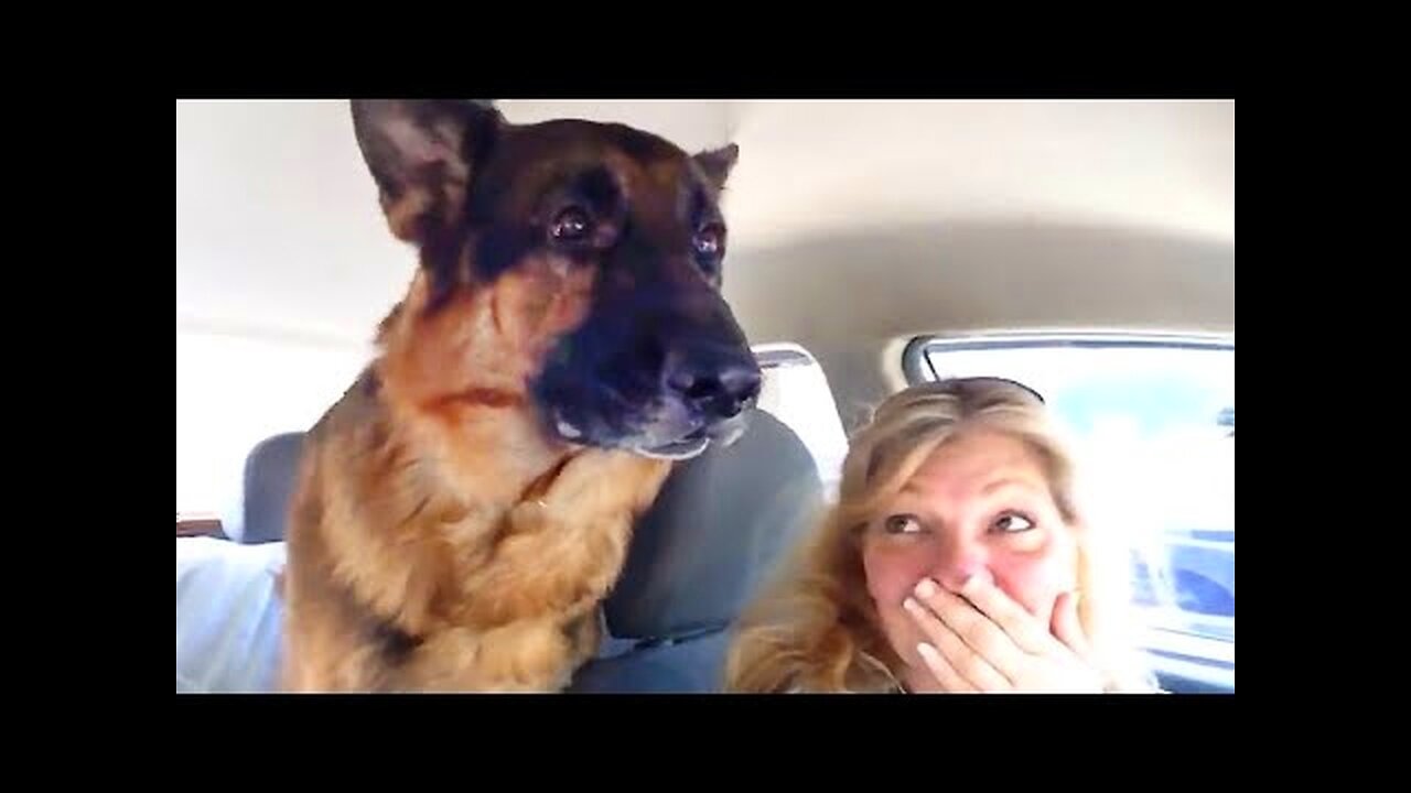 When You Realize You Are At The Vet🤣 Funny videos - Animal edition pt 2.