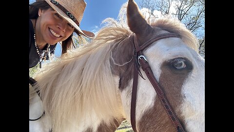 High Vibrational Products for Your Horses