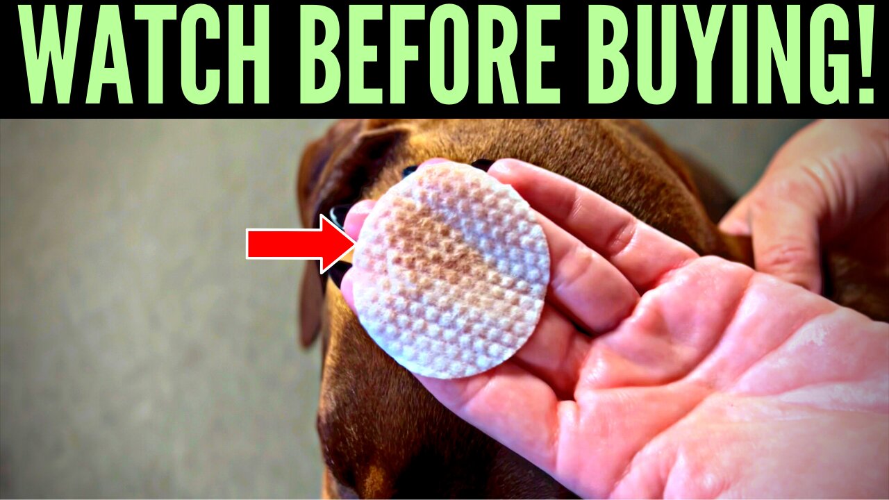 Pet MD Dog Ear Cleaner Wipes (Complete Review & Demo)