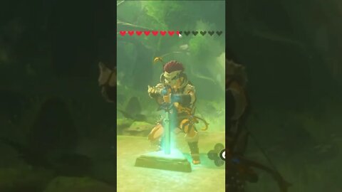 Getting The Master Sword