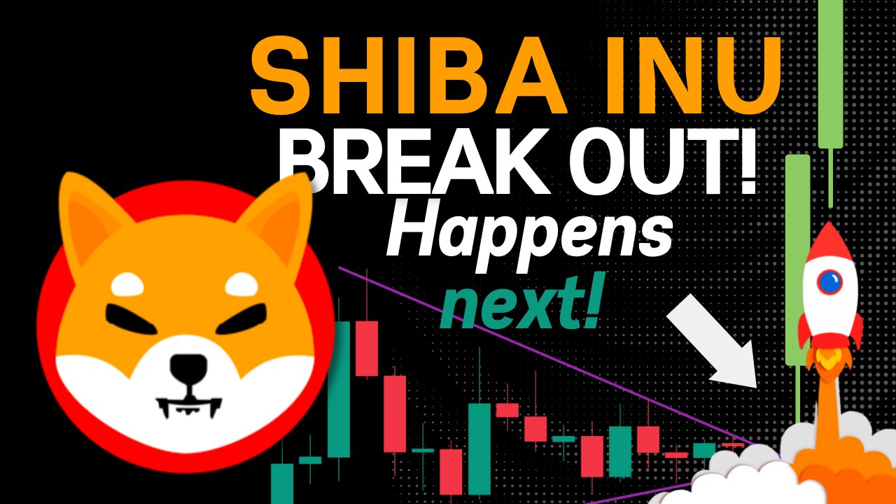 SHIBA INU BREAK OUT HAPPENS NEXT! (SHIB PRICE PREDICTION)