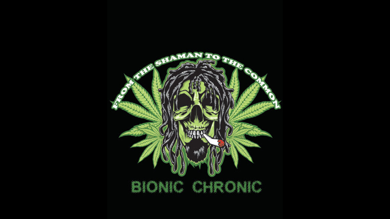 Bionic Chronic - Wank Punter