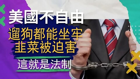 美國憲法序章｜法制國家不自由，10歲小孩都能面臨刑事指控，法律是被用來害你的。:copy-right/copy-claim