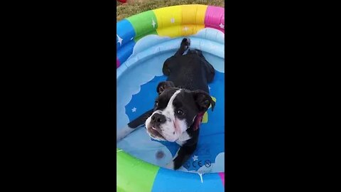 Lazy Pool Day
