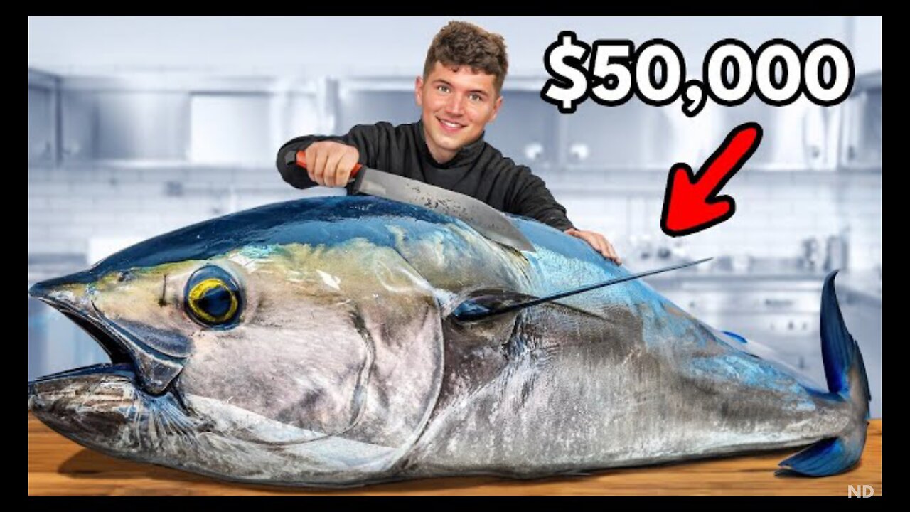 $50,000 Fish 😱 Let's Gooo....