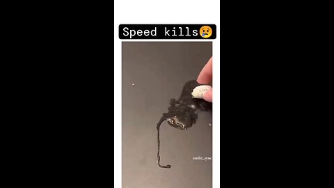 speed kills