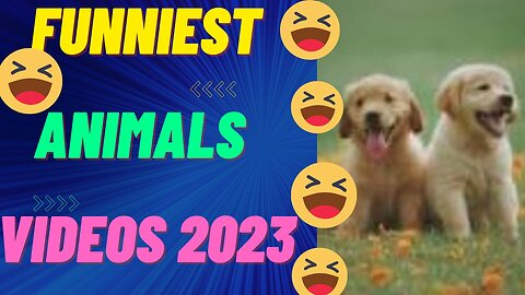 Best Funny Dogs And Cats Videos 😅 - Funniest Animals Videos 2023