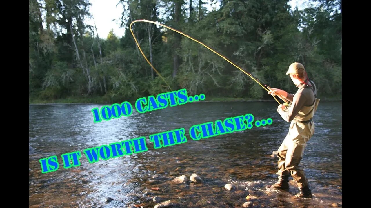 Chasing "the fish of a 1000 casts"...