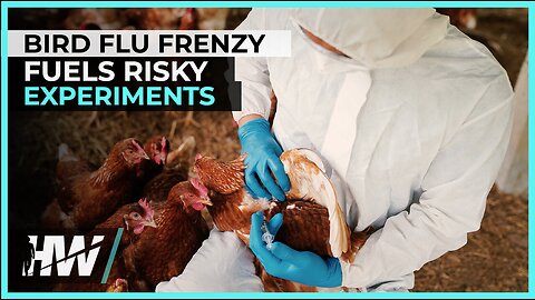 BIRD FLU FRENZY FUELS RISKY EXPERIMENTS