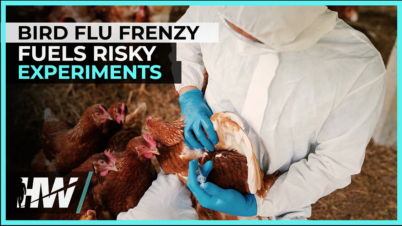 BIRD FLU FRENZY FUELS RISKY EXPERIMENTS