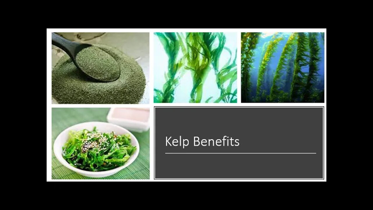 Kelp Benefits