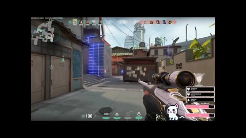 ?????